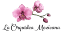 Florería | La Orquídea Mexicana